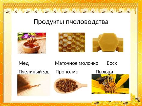 Применение в лечебных целях