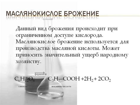 Применение спиртового брожения в пищевой промышленности