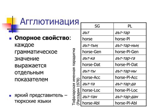 Примеры агглютинации в различных языках