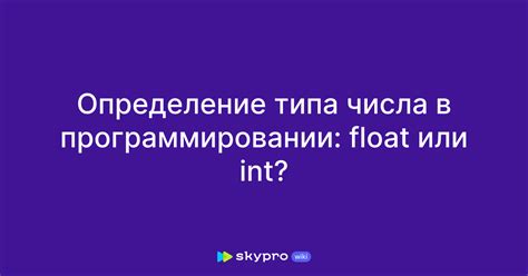 Примеры использования int и float в программировании