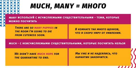 Примеры использования much и many