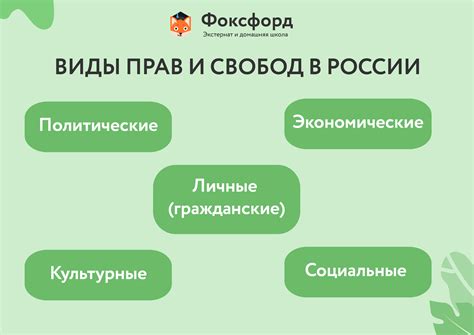 Примеры политических прав и свобод