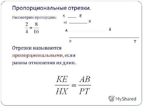 Примеры применения принципа пропорциональности