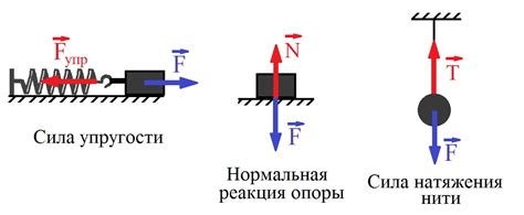 Примеры применения силы упругости в жизни