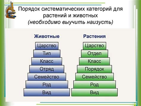 Примеры систематических категорий