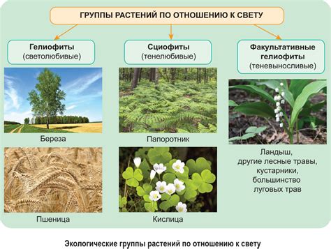 Примеры среды обитания в разных экосистемах