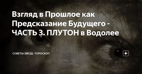 Примета о галке на окне как предсказание будущего