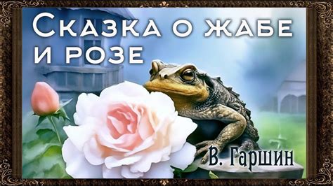 Примечания при гадании по сну с неприятным сновидением о жабе