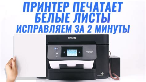 Принтер Epson: проблемы с печатью розовым цветом и их решения