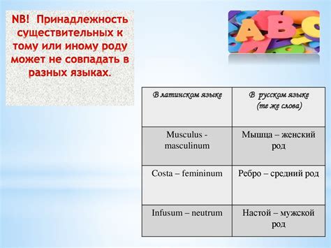 Принципы склонения латинских существительных