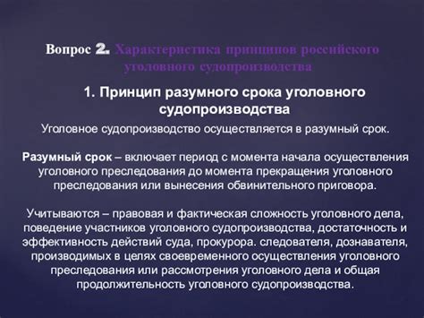 Принцип соблюдения разумного срока уголовного судопроизводства