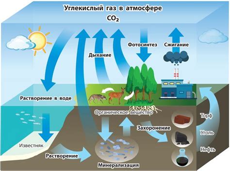 Природные причины