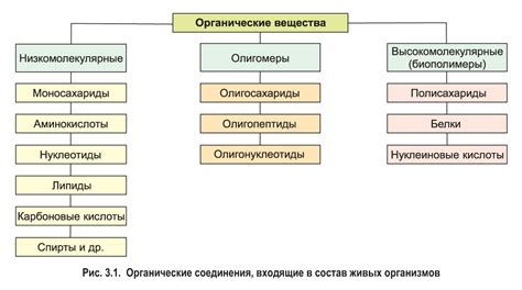 Природные системы и их функции