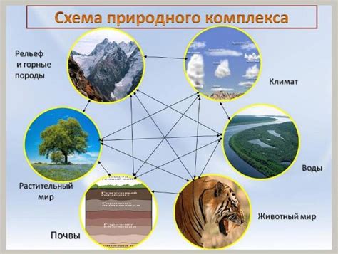 Природный комплекс: понятие и классификация