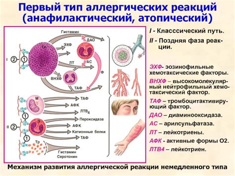 Присутствие аллергической реакции