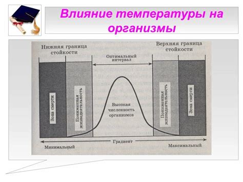 Причина влияния температуры