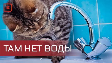 Причина возникновения проблемы с водоснабжением