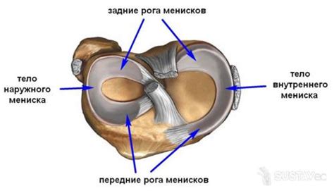 Причина 4: Повреждение внутреннего отделения