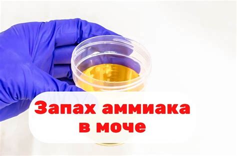 Причины запаха аммиака в моче