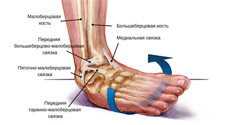 Причины и симптомы повреждения ноги