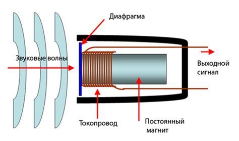 Причины неработающего микрофона в фазмофобии