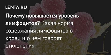 Причины повышенного содержания лимфоцитов в крови