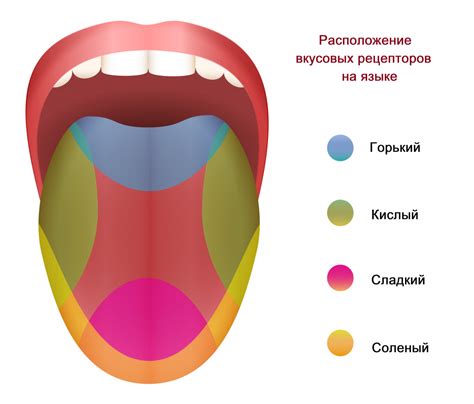 Причины появления прокисшего вкуса во сне: влияние настроения и питания