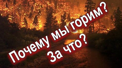 Причины появления снов о пожарах в доме: толкование и значения