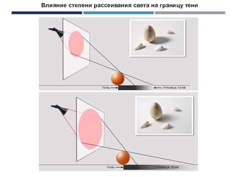 Причины рассеивания света и его влияние на стремление птиц в окна