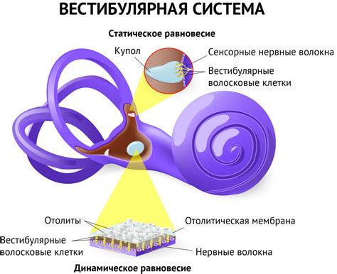 Причины резкого повышения давления и головокружения