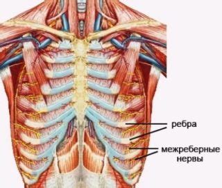 Причины резкой боли в ребрах и затрудненного дыхания