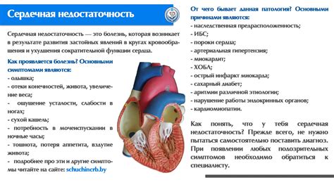 Причины скопления воды в легких при сердечной недостаточности