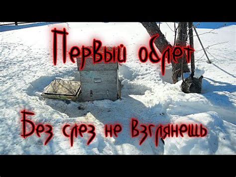 Причины такого явления