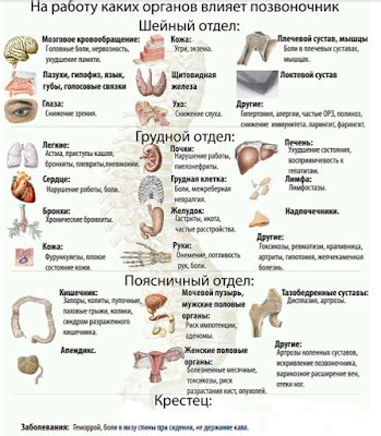 Проблемы с органами и системами