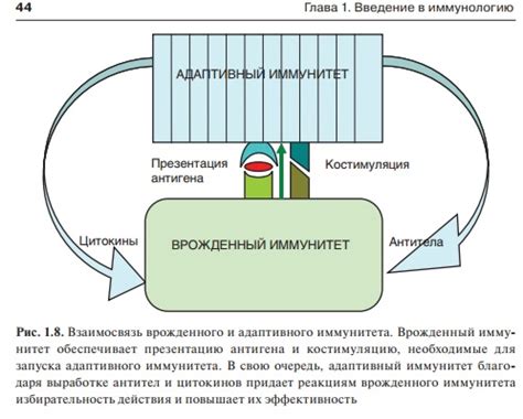 Пробуждение врожденного инстинкта заботы