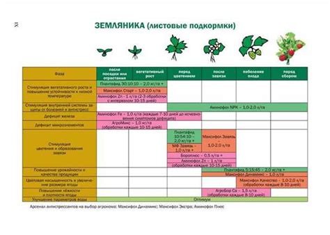 Проведите анализ почвы и подготовьте ее для высадки груш