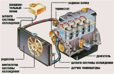 Проверка системы охлаждения после очистки радиатора в машине