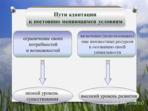 Продолжительность пути к осознанию своей потенциальности