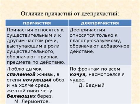 Производные от глаголов: деепричастия и причастия