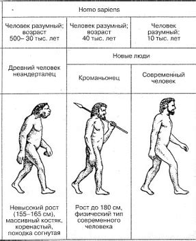 Происхождение и концепция