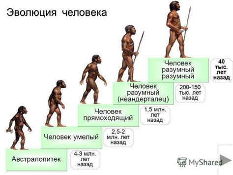 Происхождение и эволюция