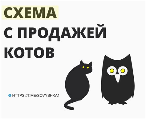 Проконтролируйте объявления с продажей котов