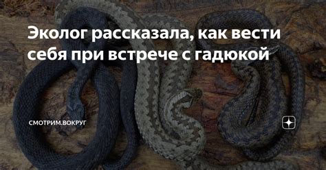 Пророческое значение снов с гремящей гадюкой в ожидании материнства