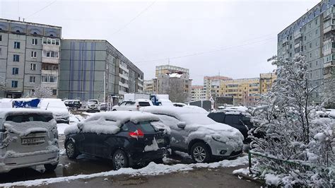 Пророчество в древних культурах: отгадывание значений символов в снах для предсказания будущего