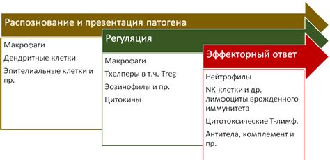 Профилактика и лечение иммунных нарушений