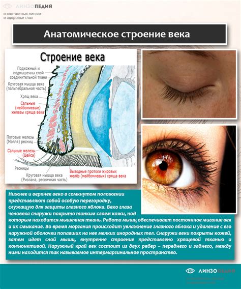 Профилактика невидения одного глаза