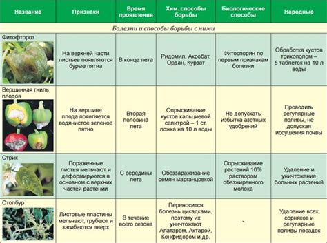 Профилактика появления вредителей