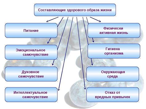 Процессы здоровья и их отображение в мире снов