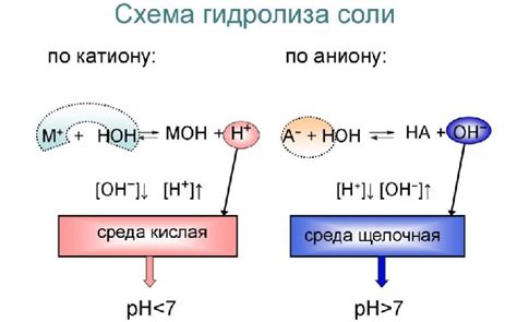 Процесс гидролиза