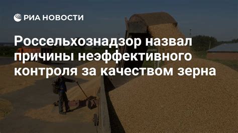 Процесс наблюдения за качеством и количеством зерна